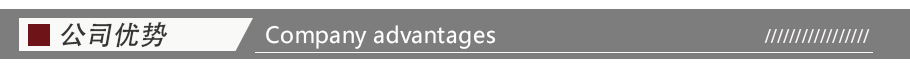 公司優(yōu)勢 公司優(yōu)勢